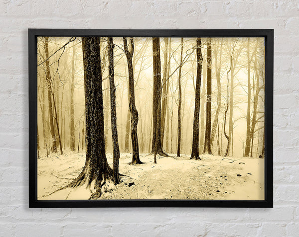 Winter Woodland Snow Framed Print