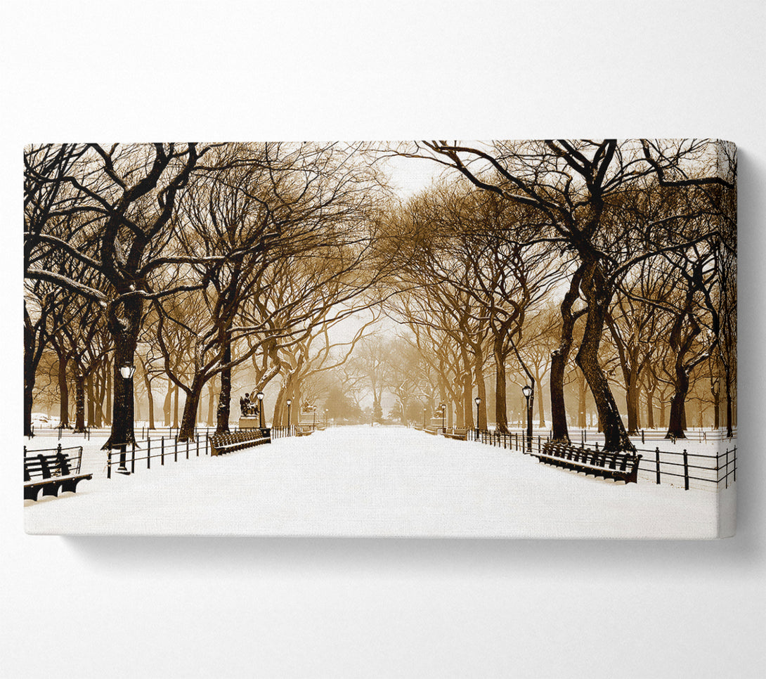  A Canvas Print of Winter Park Sepia Canvas Wall Art