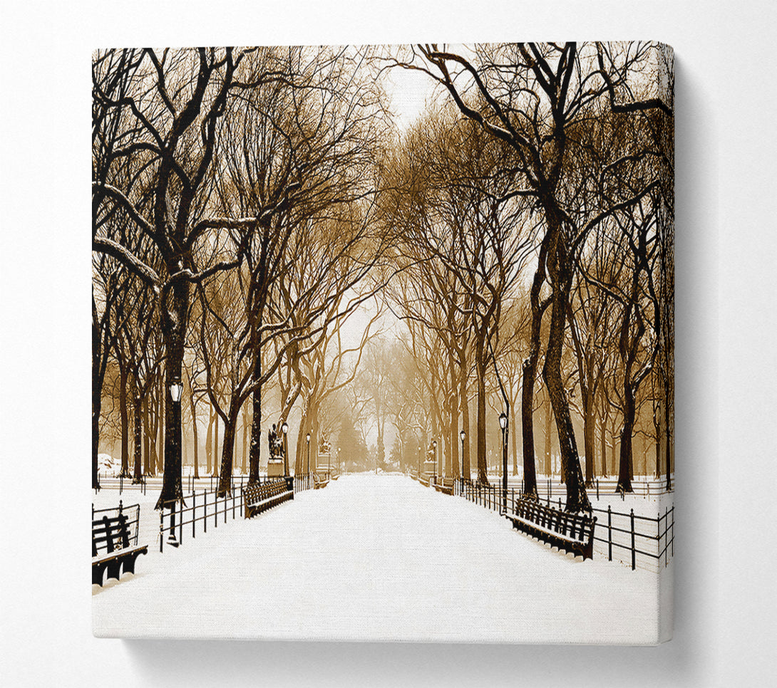  A Canvas Print of Winter Park Sepia Canvas Wall Art