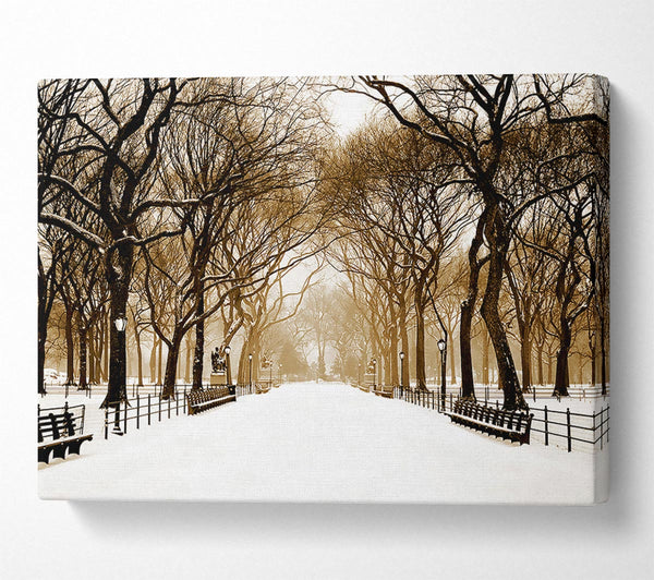  A Canvas Print of Winter Park Sepia Canvas Wall Art