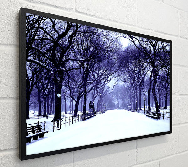Winter Park Blue