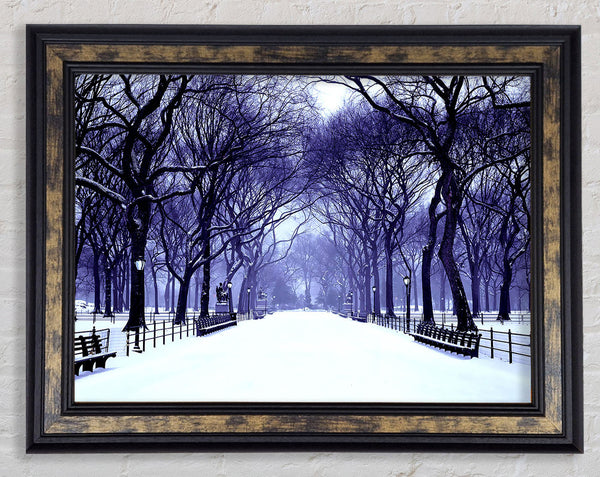 Winter Park Blue Framed Print