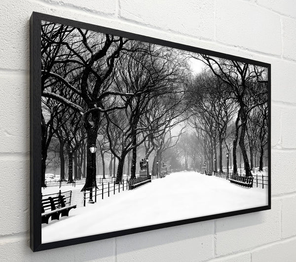 Winter Park B n W