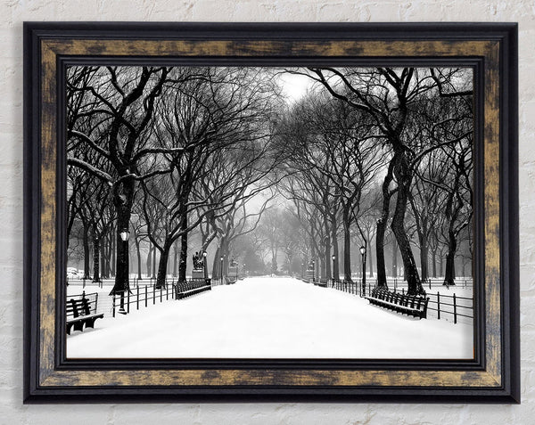 Winter Park B n W Framed Print