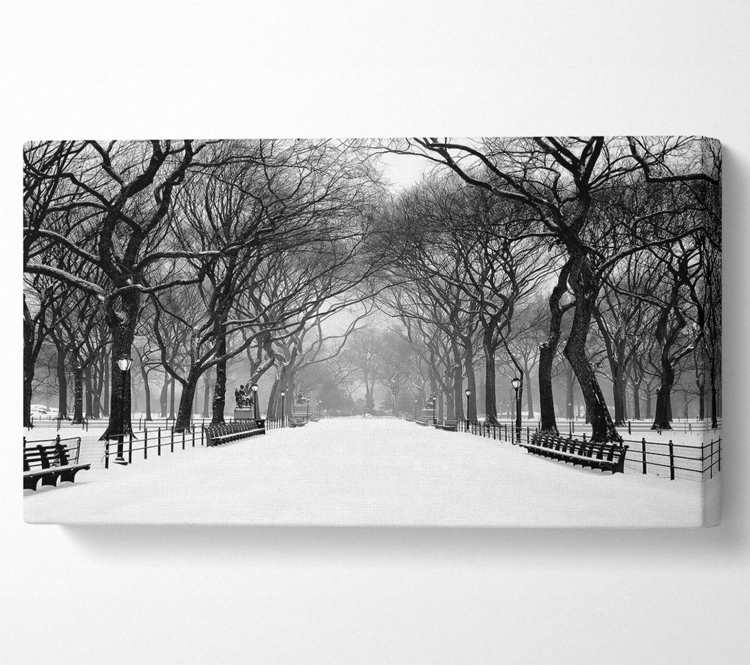  A Canvas Print of Winter Park B n W Canvas Wall Art
