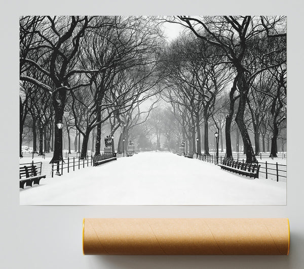 Winter Park B N W Print