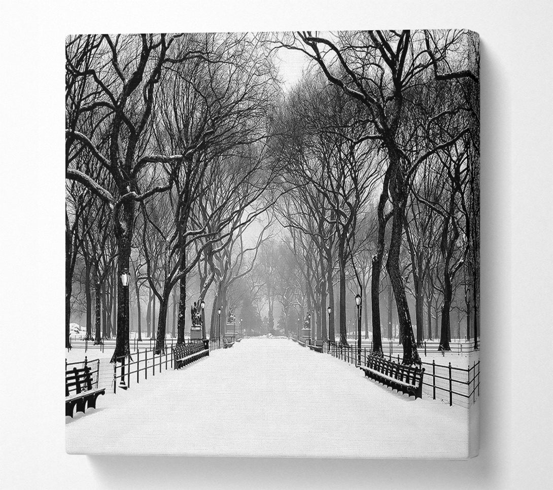  A Canvas Print of Winter Park B n W Canvas Wall Art