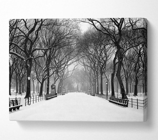  A Canvas Print of Winter Park B n W Canvas Wall Art