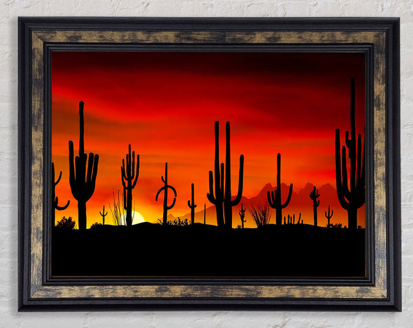 Cactus Sunset Beauty Framed Print