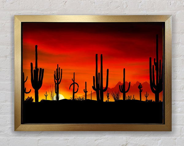 Cactus Sunset Beauty Framed Print