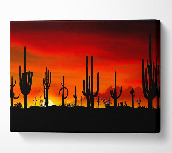  A Canvas Print of Cactus Sunset Beauty Canvas Print