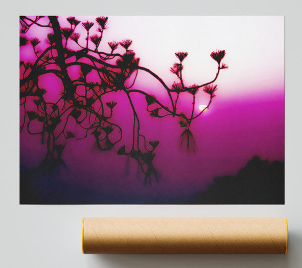 Pink Haze Poster