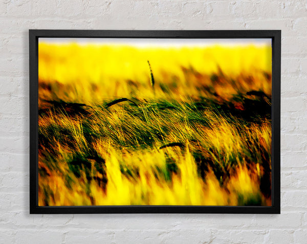 Wheatfield Yellow Framed Print