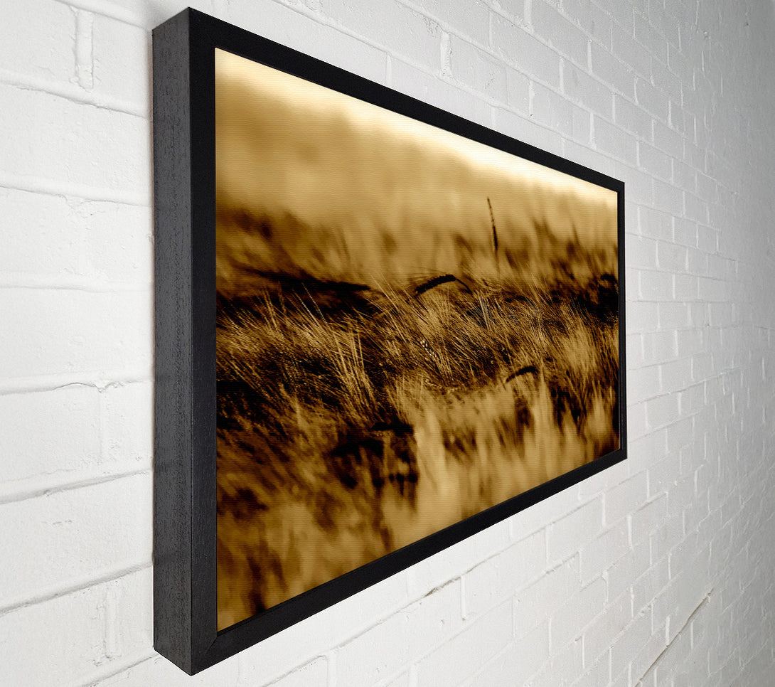  A Canvas Print of Wheatfield Sepia Canvas Wall Art