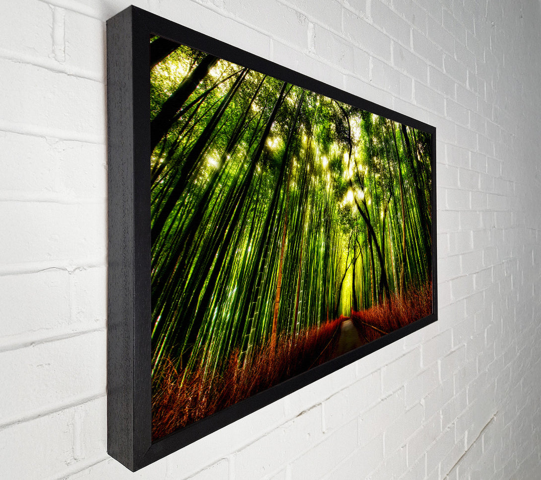  A Canvas Print of The Woodland Walk Canvas Print