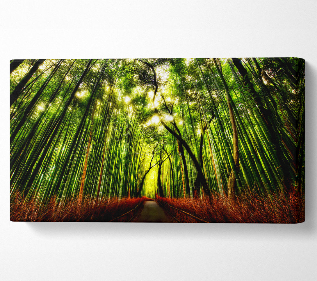  A Canvas Print of The Woodland Walk Canvas Print
