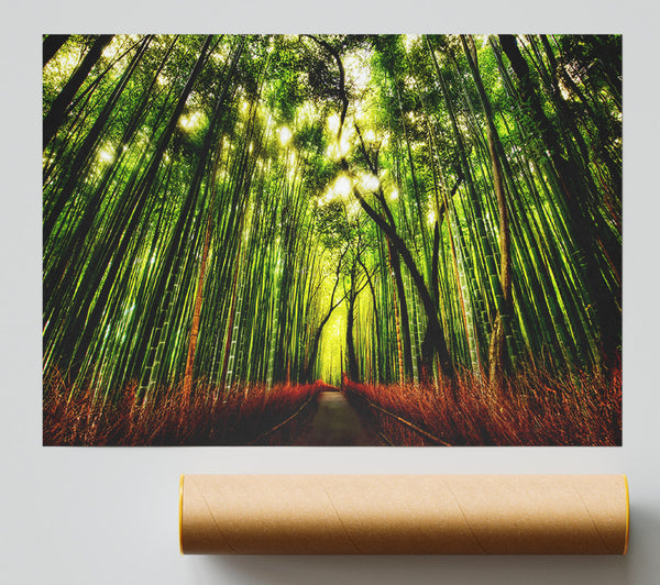 The Woodland Walk Poster