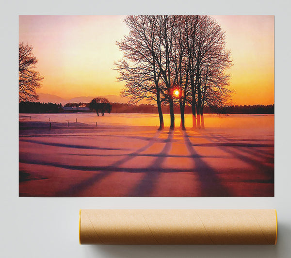 Winter Tree Sunrise Pinks Print