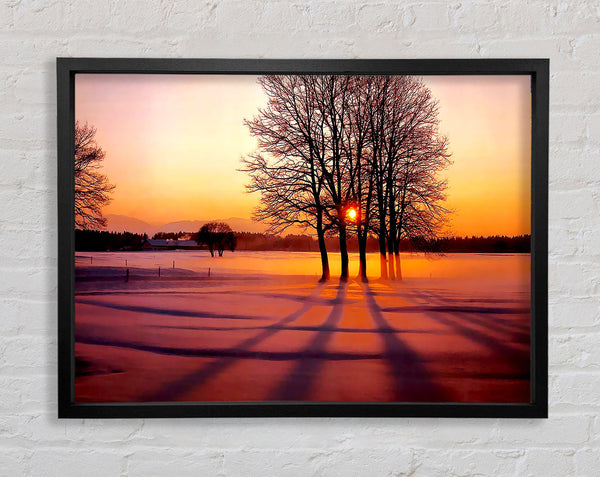 Winter Tree Sunrise Pinks Framed Print