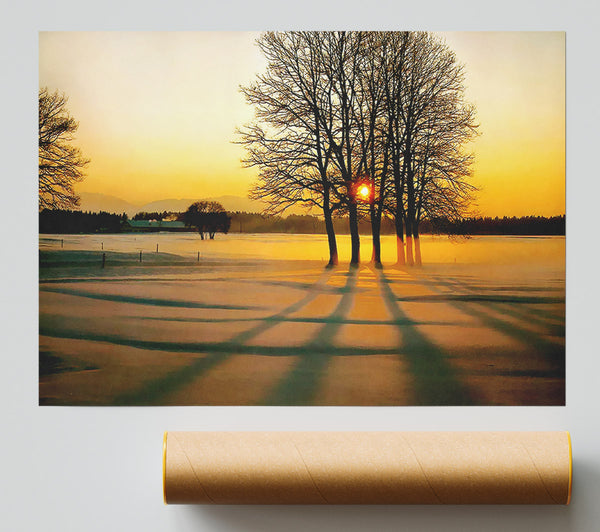 Winter Tree Sunrise Golden Giclee Print
