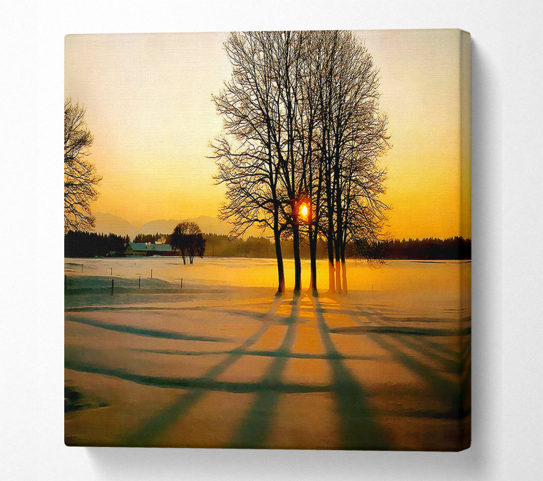  A Canvas Print of Winter Tree Sunrise Golden Canvas Wall Art