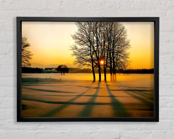 Winter Tree Sunrise Golden Framed Print