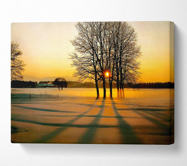  A Canvas Print of Winter Tree Sunrise Golden Canvas Wall Art