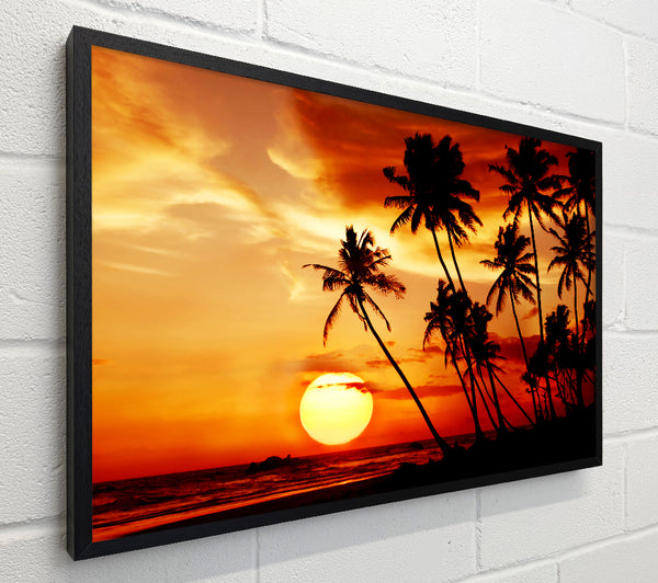 Palm Tree Paradise At Sunset