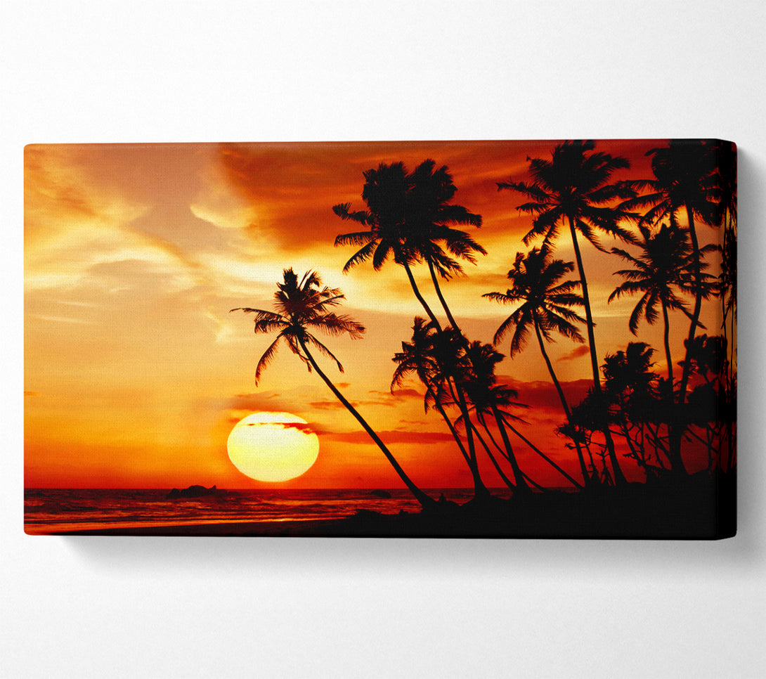  A Canvas Print of Palm Tree Paradise At Sunset Canvas Art