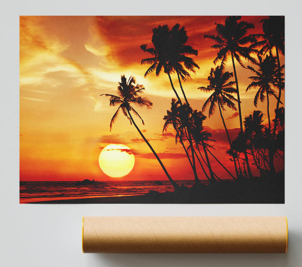 Palm Tree Paradise At Sunset Poster