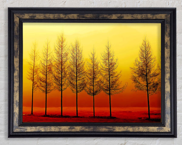 Isolation Framed Print
