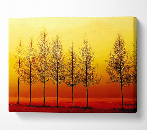 A Canvas Print of Isolation Canvas Wall Art