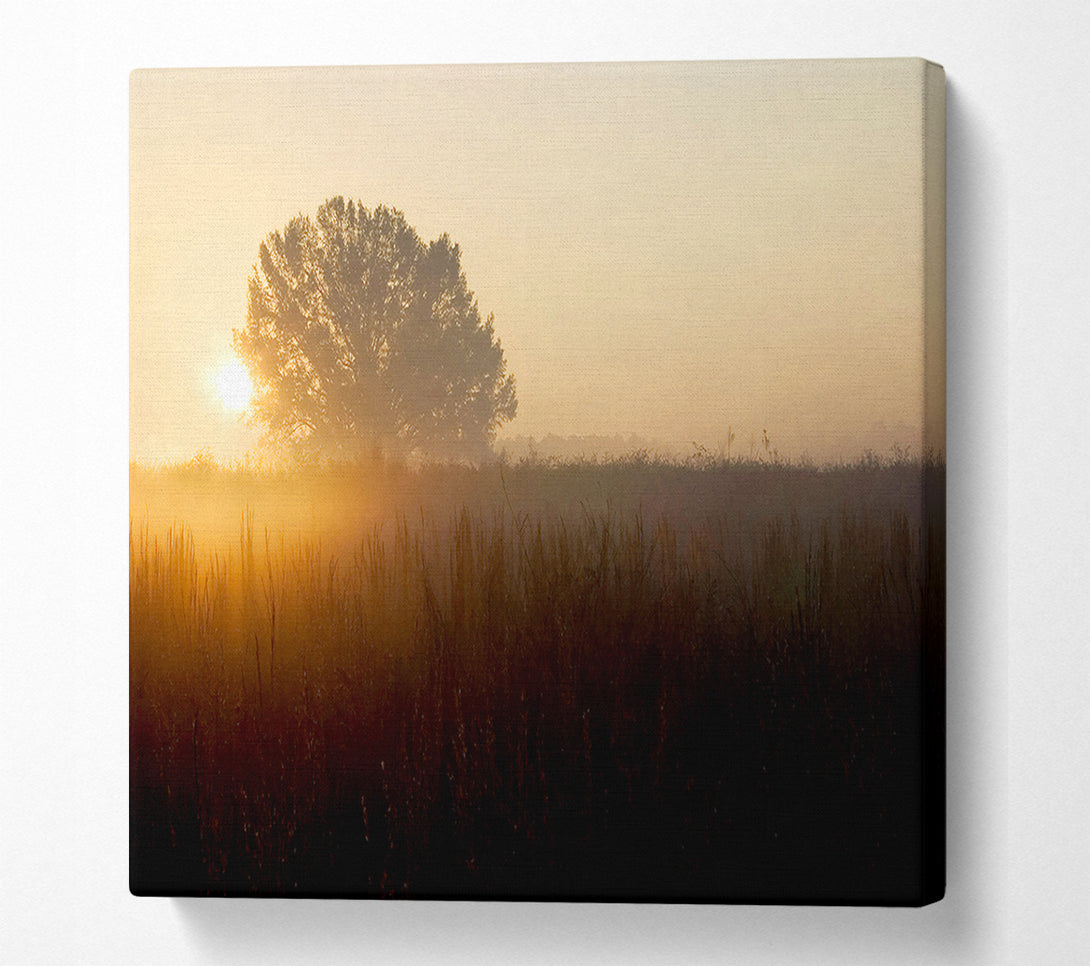  A Canvas Print of Yorkshire Dales Sunset Mist Canvas Wall Art