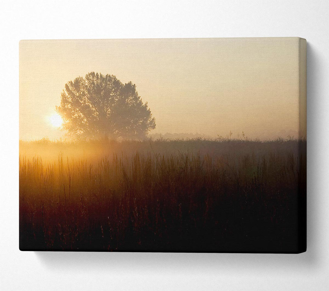  A Canvas Print of Yorkshire Dales Sunset Mist Canvas Wall Art