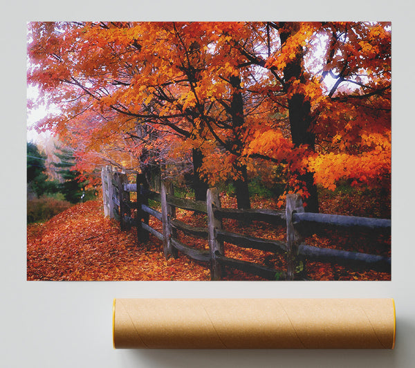 Orange Autumn Leaves Poster