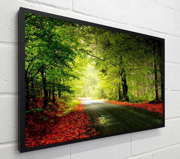 The Woodland Road