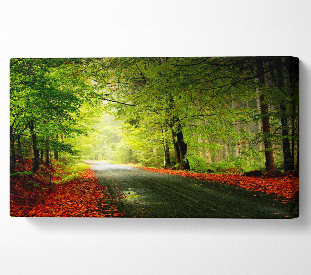  A Canvas Print of The Woodland Road Canvas Art