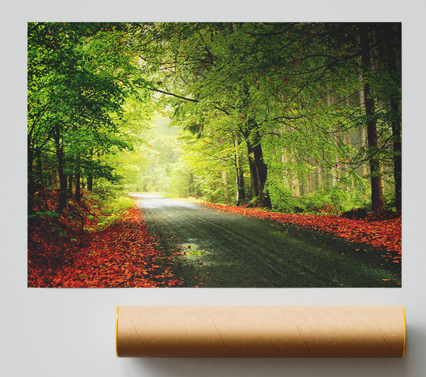 The Woodland Road Giclee Print