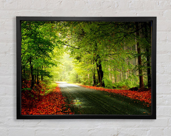 The Woodland Road Framed Print