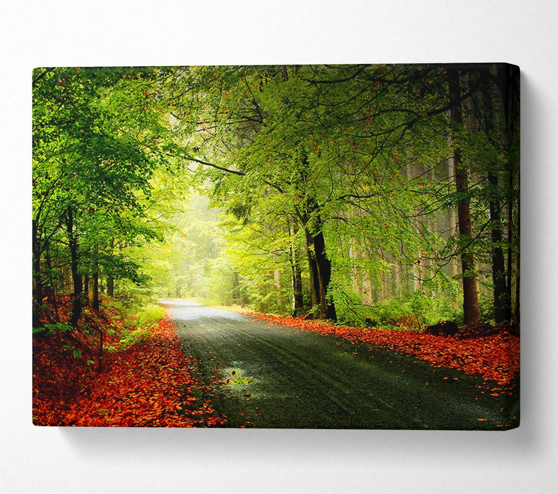  A Canvas Print of The Woodland Road Canvas Art