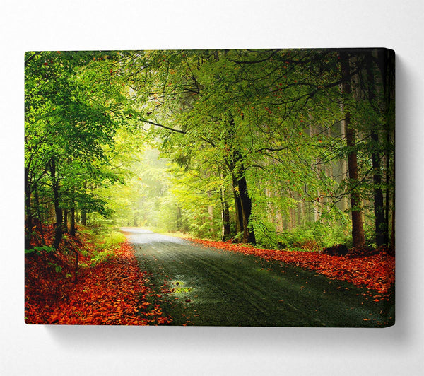  A Canvas Print of The Woodland Road Canvas Art