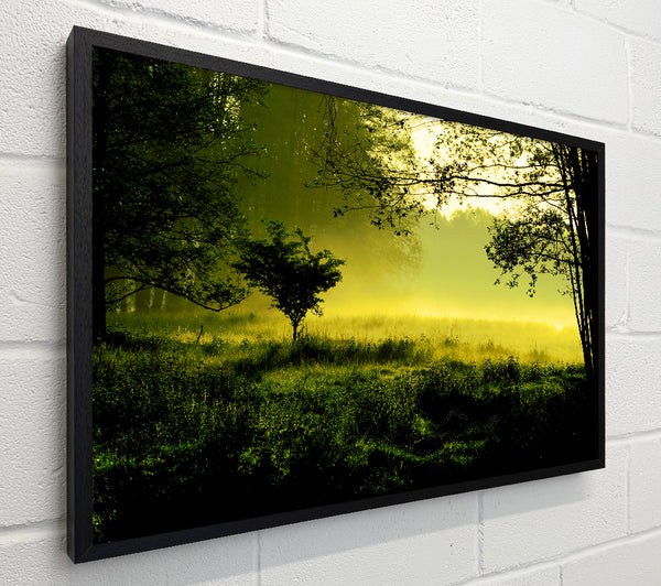 Countryside Mist