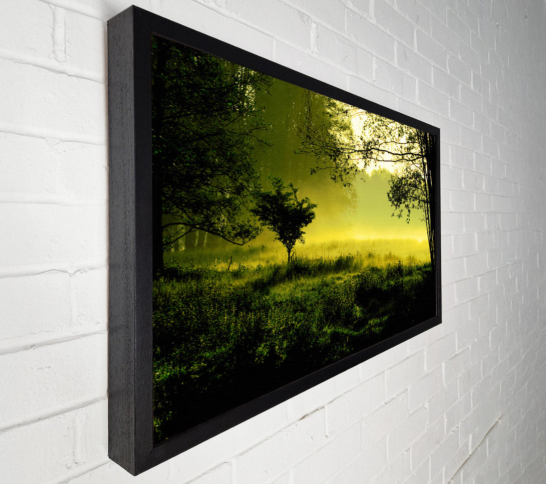  A Canvas Print of Countryside Mist Canvas Art
