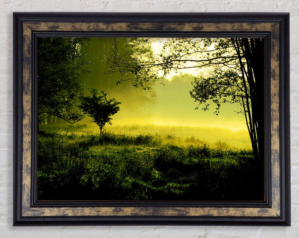 Countryside Mist Framed Print
