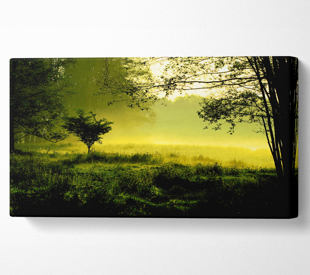  A Canvas Print of Countryside Mist Canvas Art