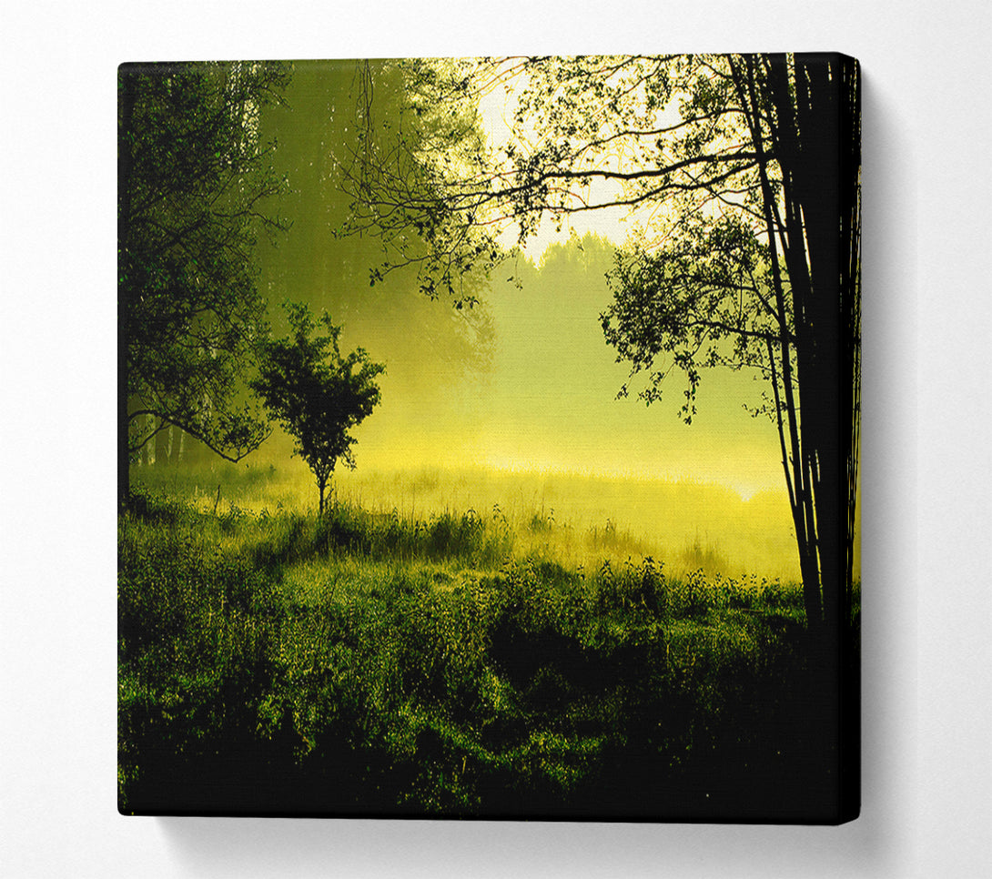  A Canvas Print of Countryside Mist Canvas Art