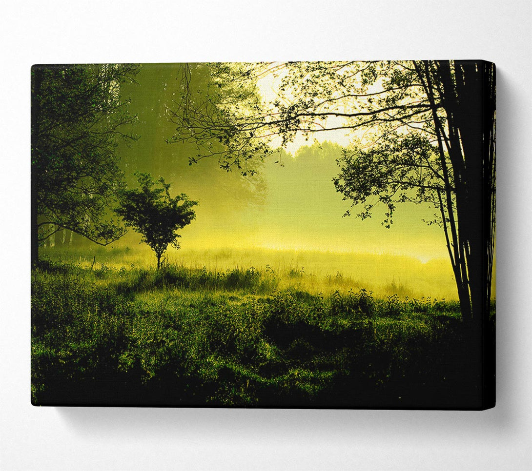  A Canvas Print of Countryside Mist Canvas Art