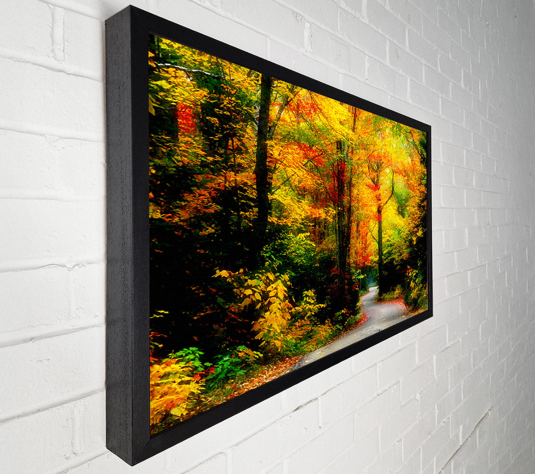  A Canvas Print of Autumn Road Canvas Wall Art