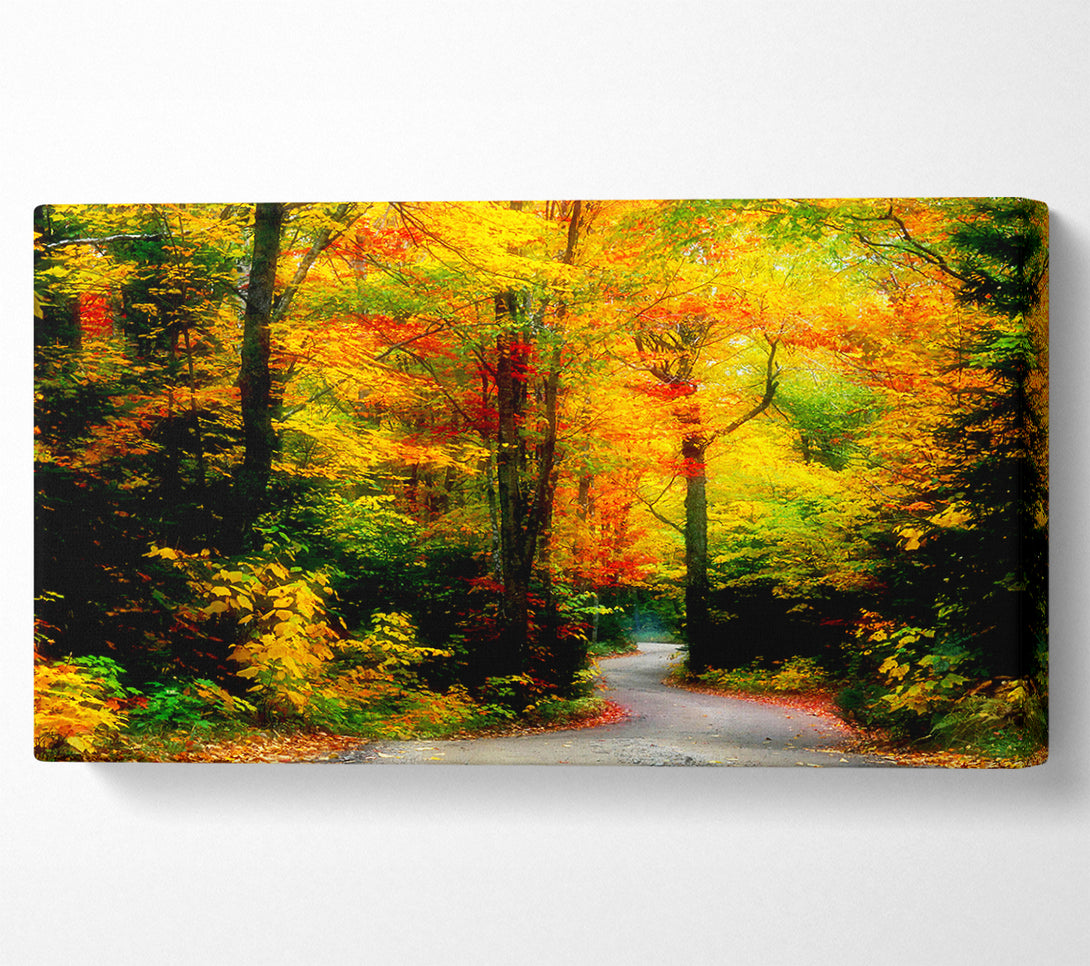  A Canvas Print of Autumn Road Canvas Wall Art