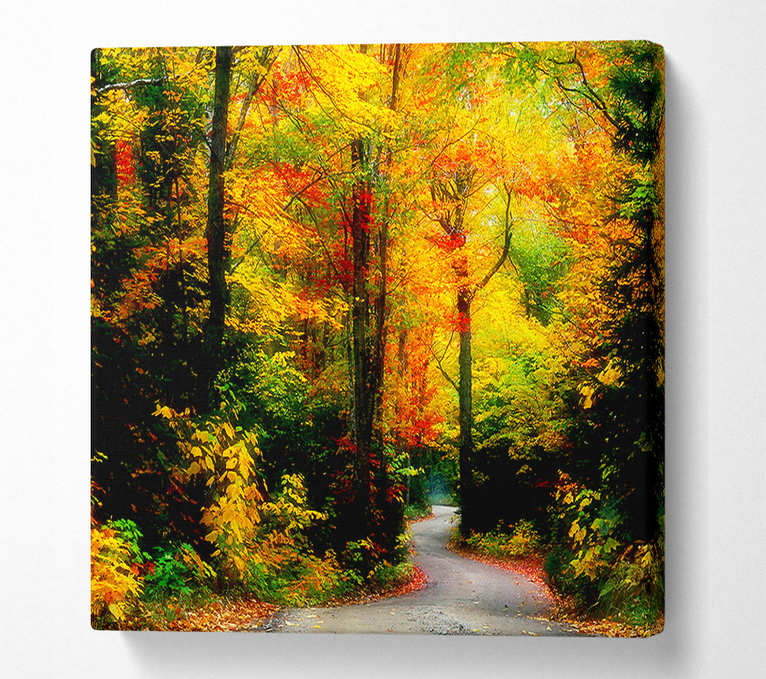  A Canvas Print of Autumn Road Canvas Wall Art